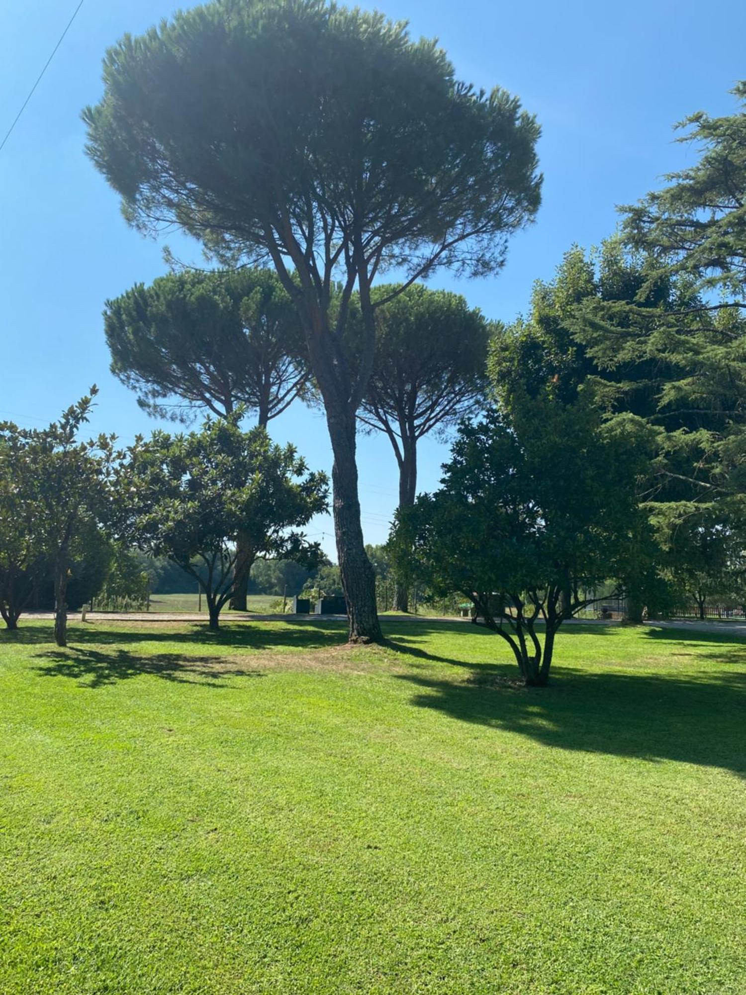Pensjonat Casa Giogo Arezzo Zewnętrze zdjęcie
